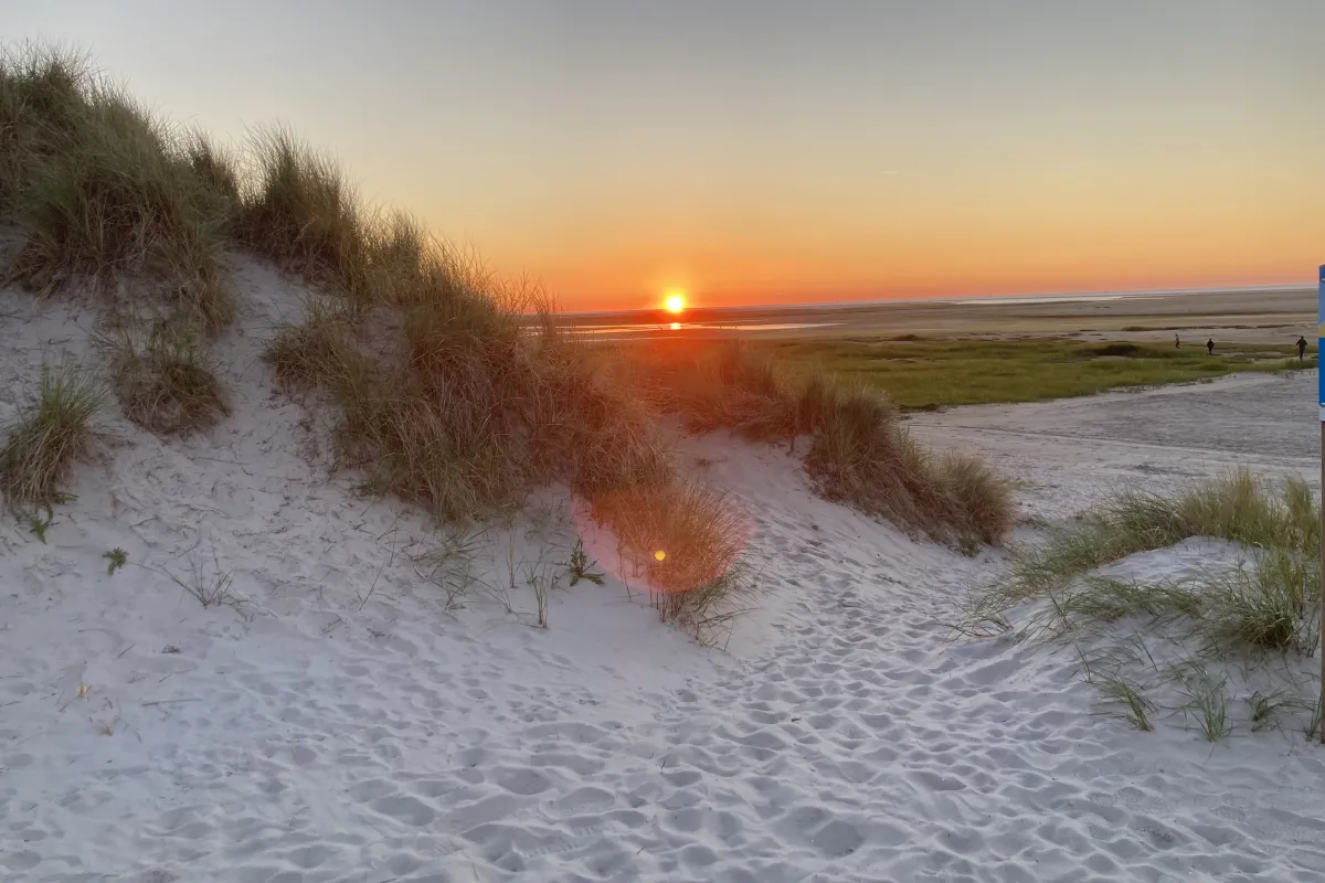 ameland-de-stilste-plek-van-het-land.jpeg