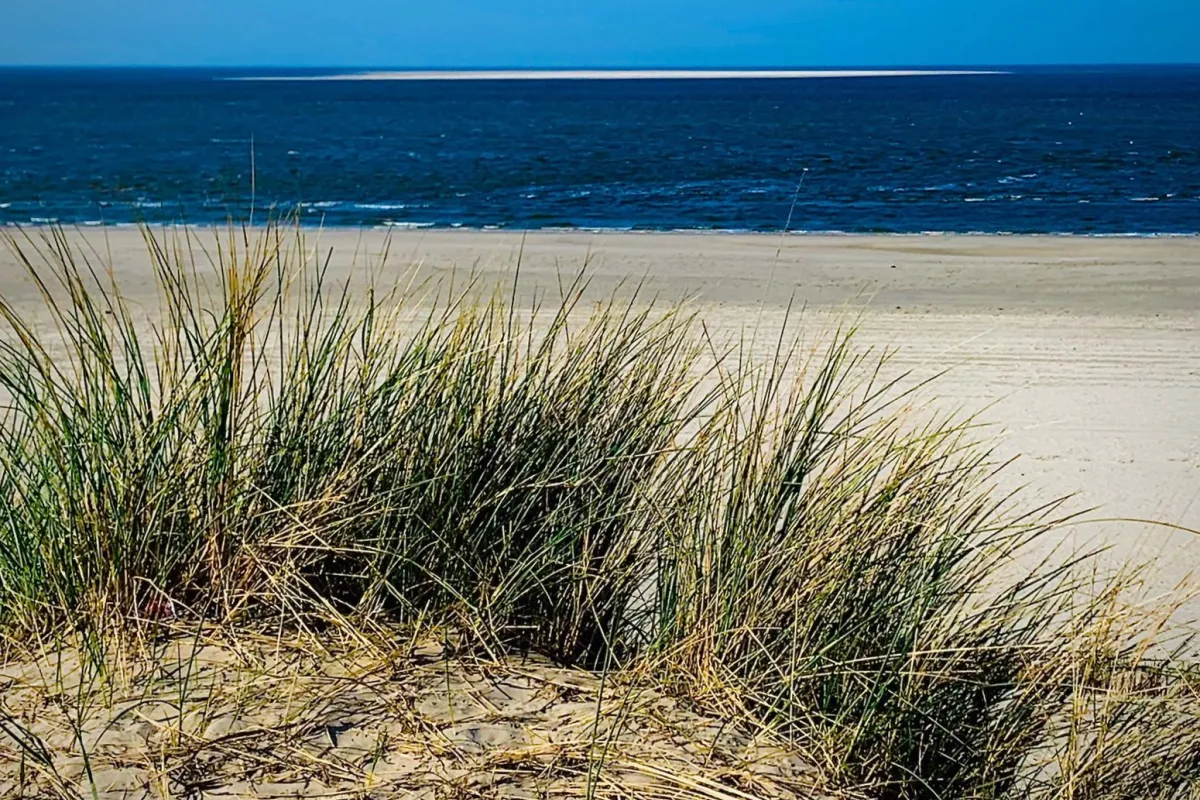 kuuroord-de-heilzamewerking-van-de-zee.jpeg