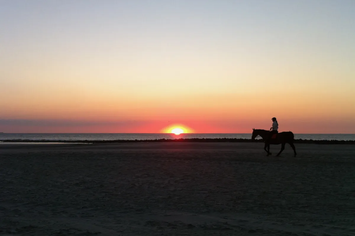 prachtige-strandritten.jpeg