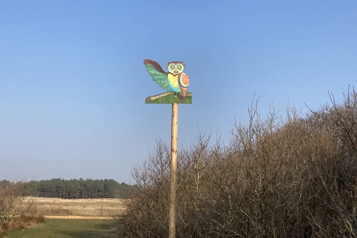 roosdunen.jpeg